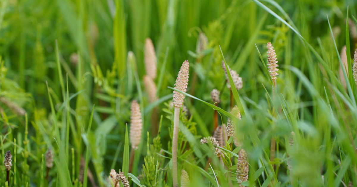ブログサイトを立ち上げました！